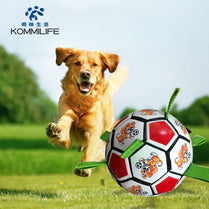 Juguete de fútbol interactivo para perros