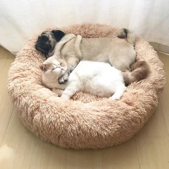 Cama de peluche para gatos con forma de donut