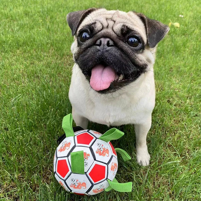 Juguete de fútbol interactivo para perros