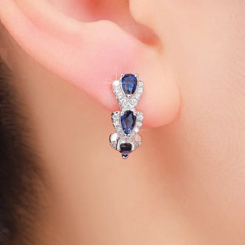 Caoshi Earrings