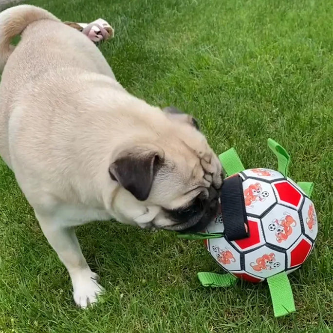 Juguete de fútbol interactivo para perros