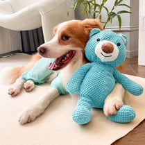 Juguete de peluche para perros que chirría